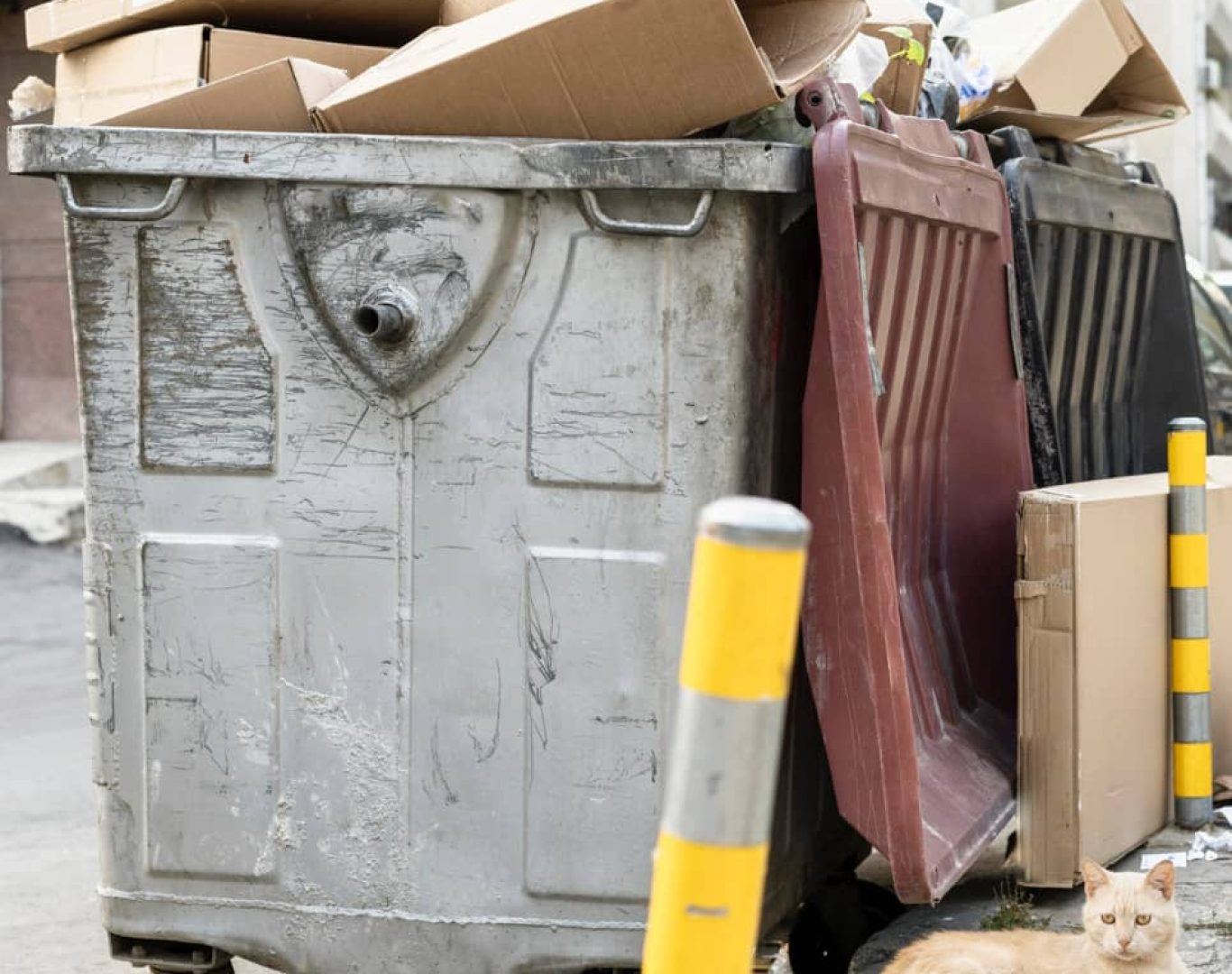 Commercial Junk Removal in Park County, WY
